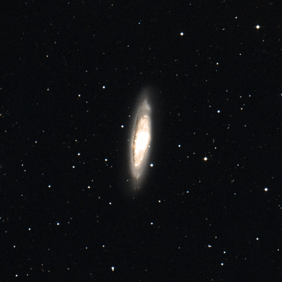 Lee más sobre el artículo Messier 65