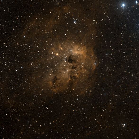 Lee más sobre el artículo NGC 1893